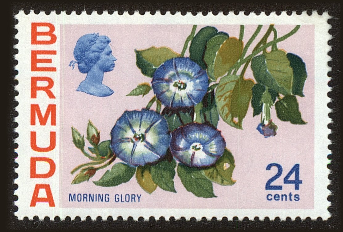 Front view of Bermuda 266 collectors stamp