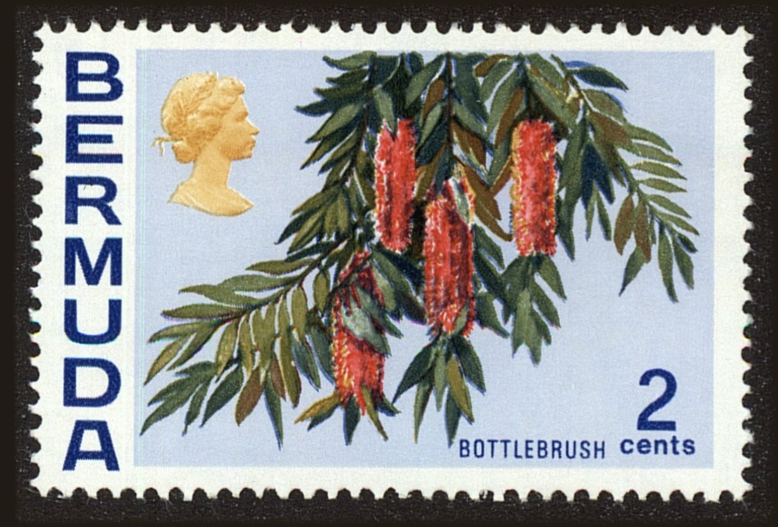 Front view of Bermuda 256 collectors stamp
