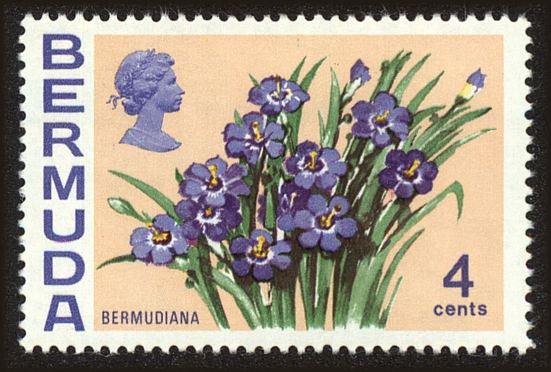 Front view of Bermuda 258 collectors stamp