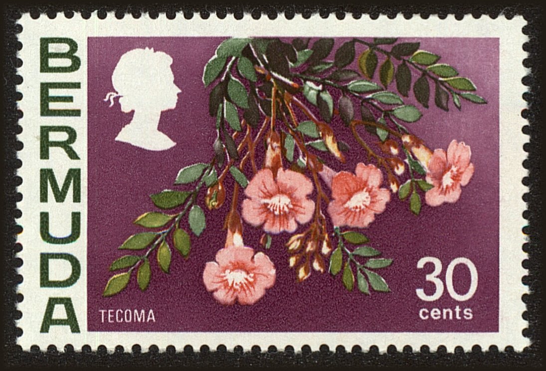 Front view of Bermuda 267 collectors stamp