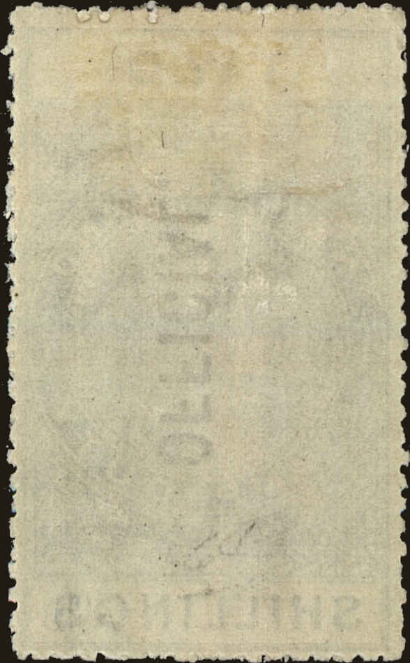 Back view of New Zealand OScott #38 stamp