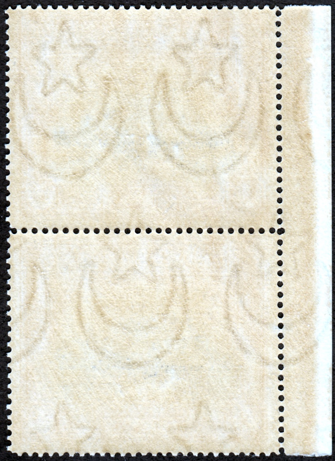 Back view of Bahawalpur OScott #5 stamp