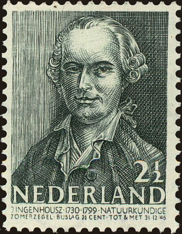 Front view of Netherlands B135 collectors stamp