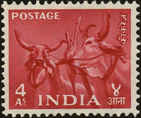 Front view of India 260 collectors stamp