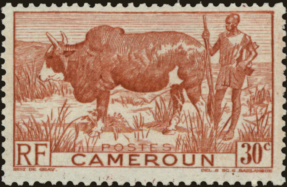 Front view of Cameroun (French) 305 collectors stamp