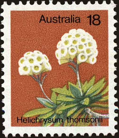 Front view of Australia 564 collectors stamp