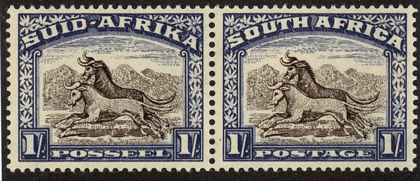 Front view of South Africa 62 collectors stamp