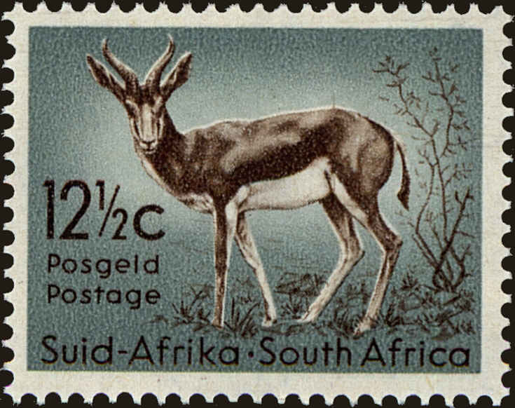 Front view of South Africa 250 collectors stamp