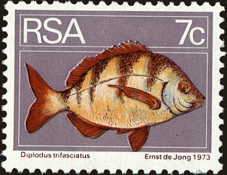 Front view of South Africa 414 collectors stamp