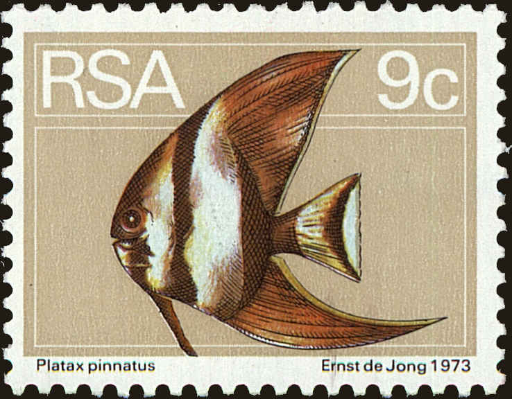 Front view of South Africa 415 collectors stamp