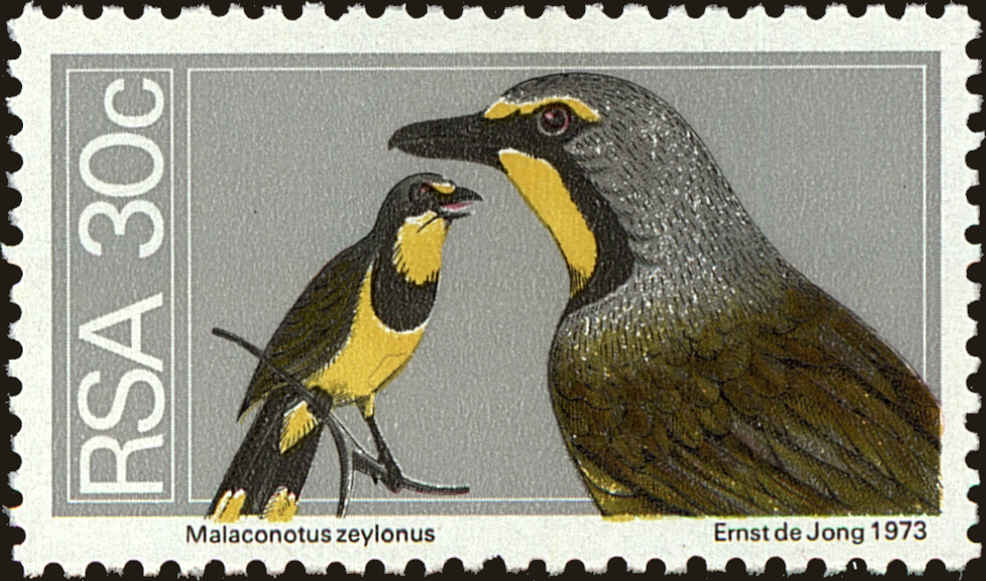 Front view of South Africa 421 collectors stamp