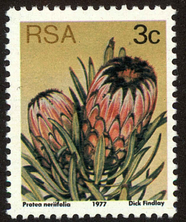 Front view of South Africa 477 collectors stamp