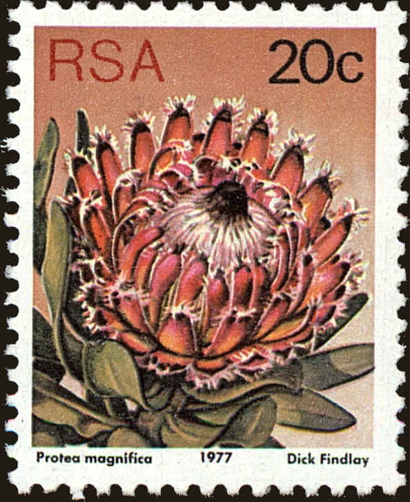 Front view of South Africa 486 collectors stamp