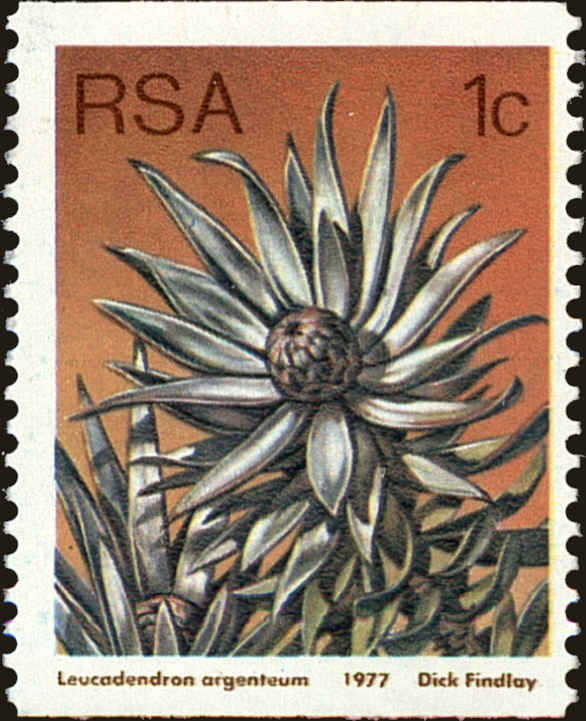 Front view of South Africa 492 collectors stamp