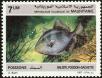 Stamp ID#186638 (1-233-2308)