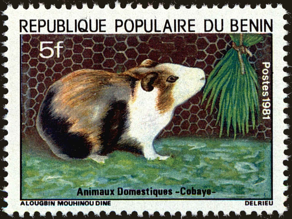 Front view of Benin 510 collectors stamp
