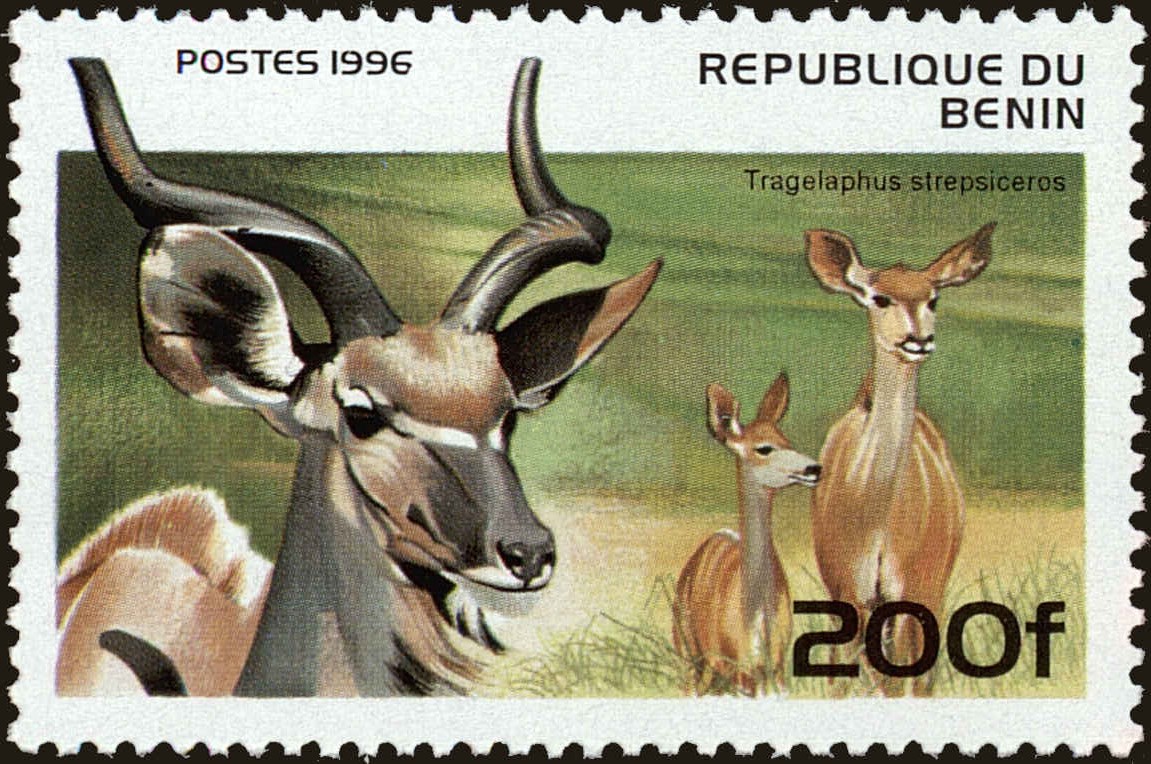 Front view of Benin 935 collectors stamp
