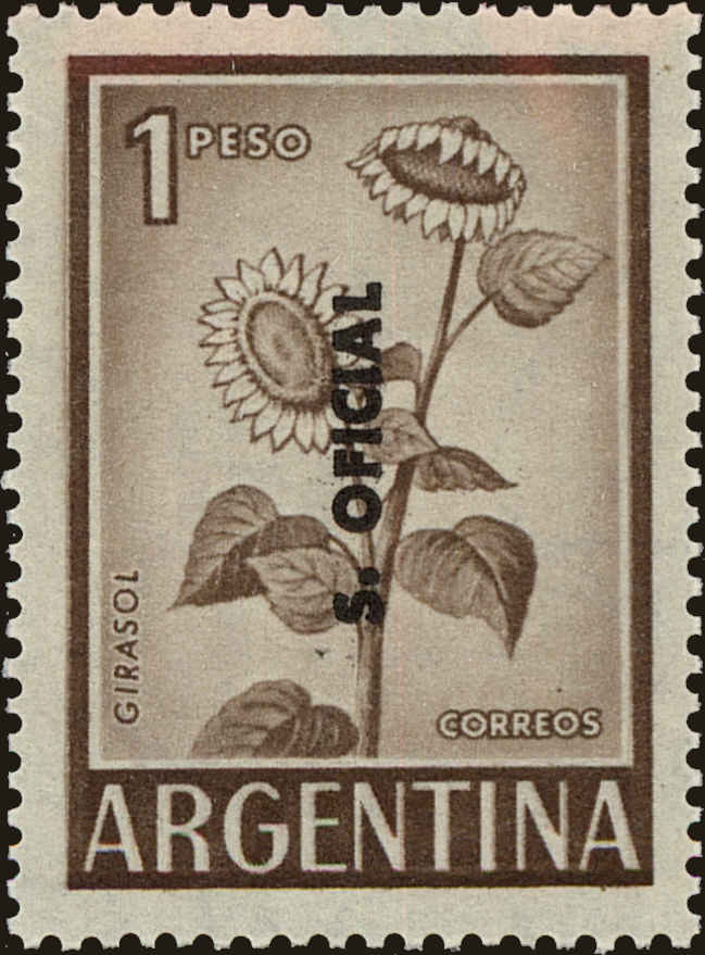Front view of Argentina O116 collectors stamp