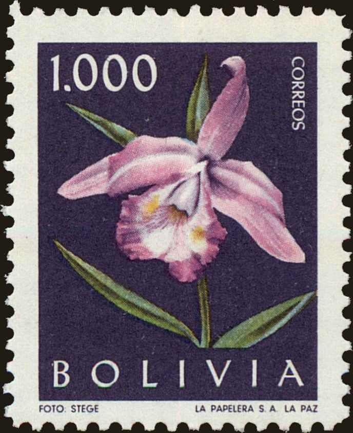Front view of Bolivia 462 collectors stamp