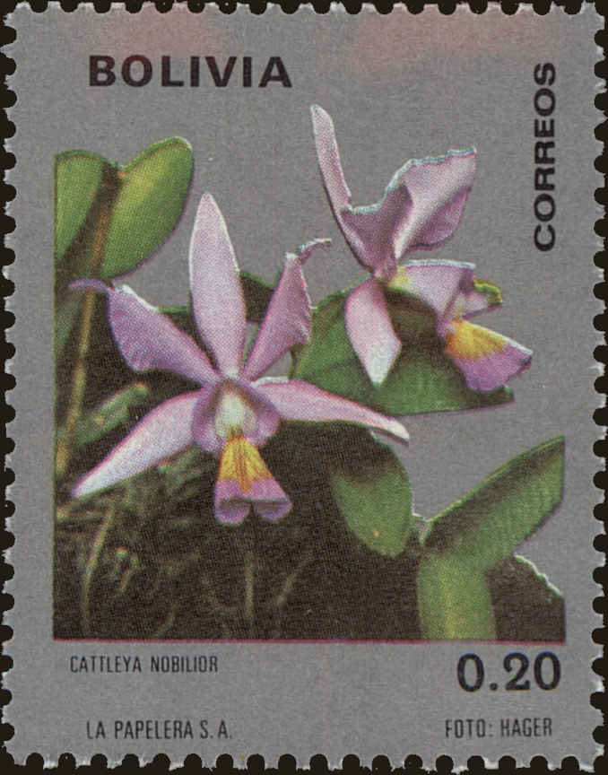 Front view of Bolivia 558 collectors stamp