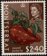 Stamp ID#234429 (1-276-2238)