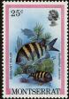 Stamp ID#234644 (1-276-2454)