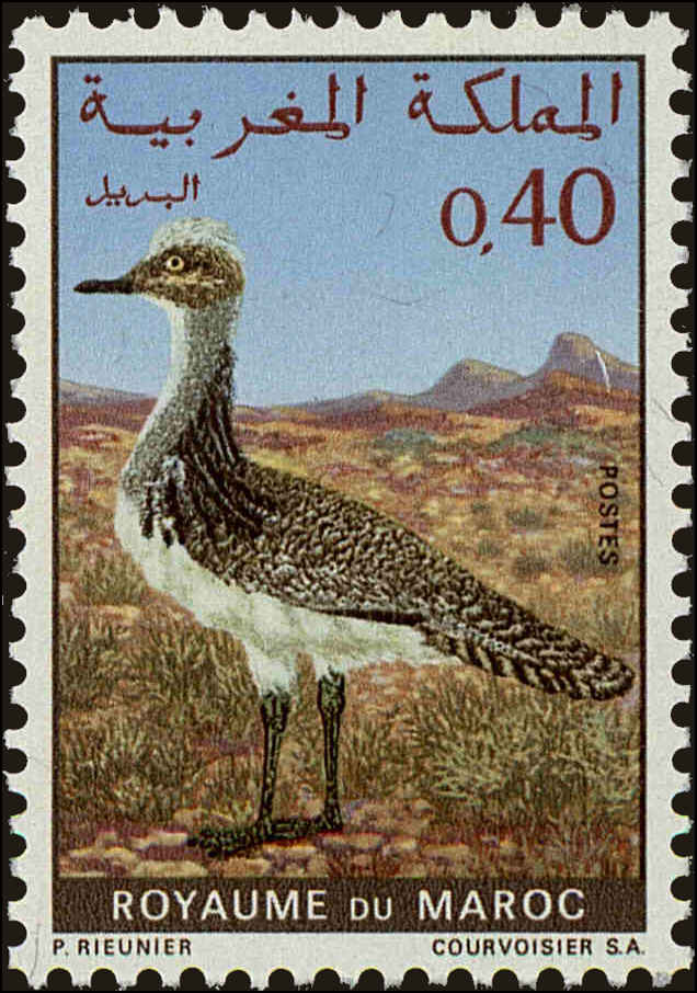 Front view of Morocco 234 collectors stamp