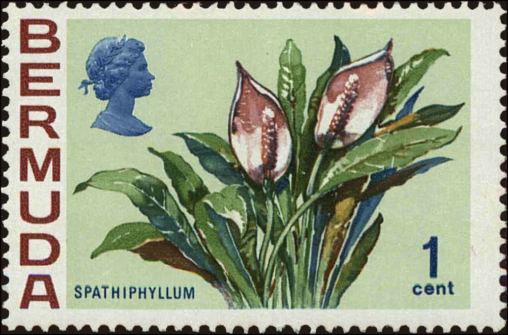 Front view of Bermuda 255 collectors stamp