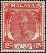 Stamp ID#241263 (1-277-1384)