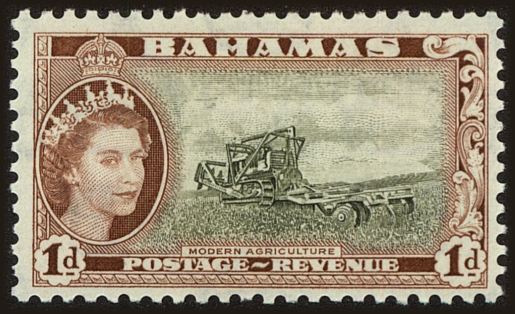 Front view of Bahamas 159 collectors stamp