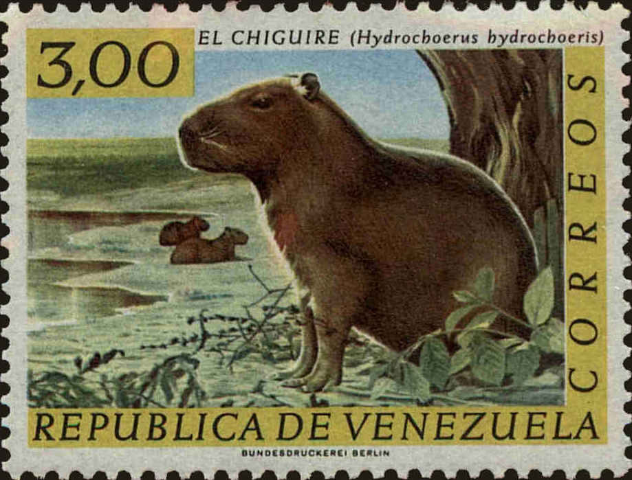 Front view of Venezuela 831 collectors stamp