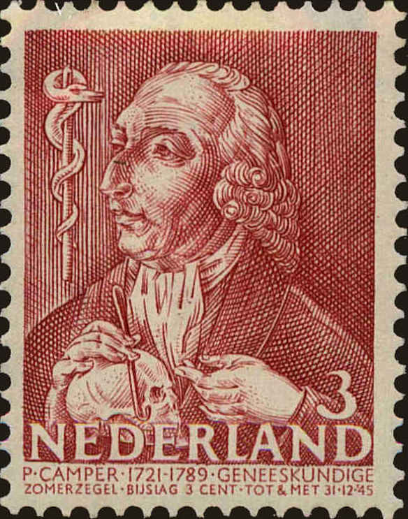 Front view of Netherlands B125 collectors stamp
