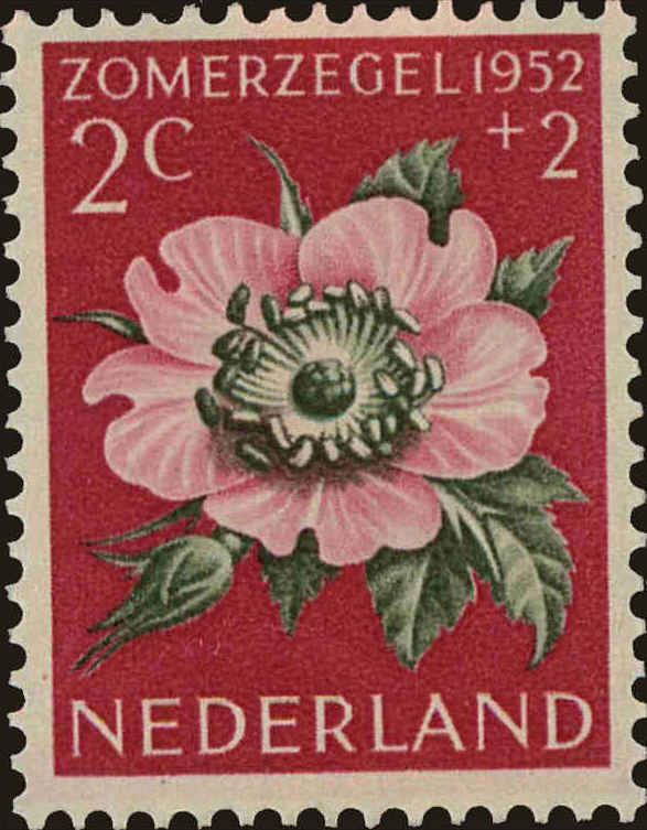 Front view of Netherlands B238 collectors stamp
