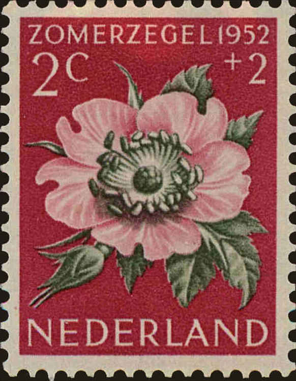 Front view of Netherlands B238 collectors stamp