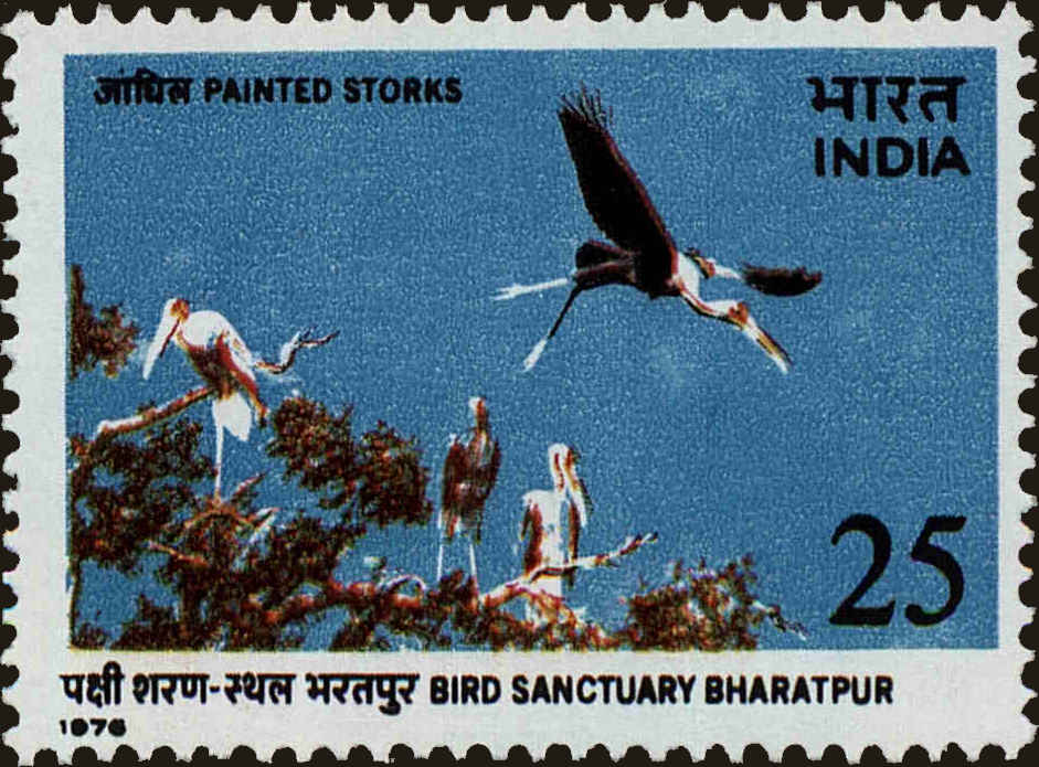Front view of India 713 collectors stamp