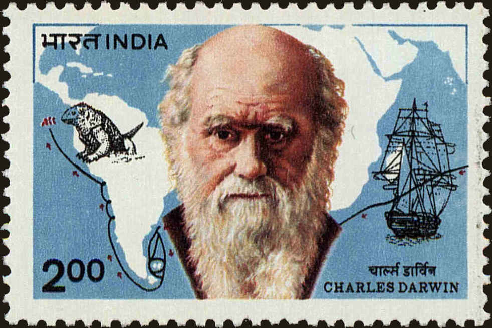 Front view of India 1018 collectors stamp