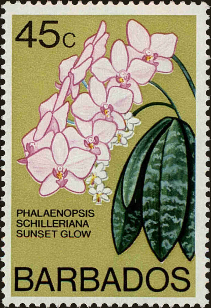 Front view of Barbados 406B collectors stamp