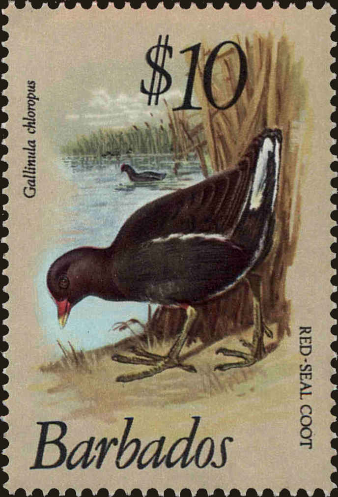 Front view of Barbados 511 collectors stamp