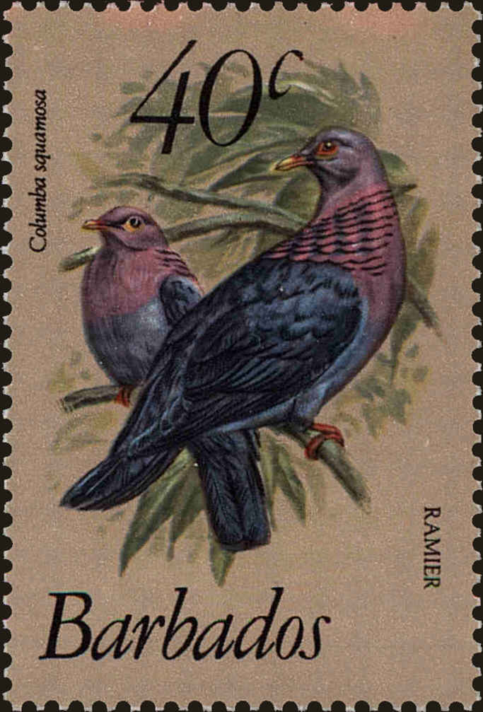 Front view of Barbados 571 collectors stamp