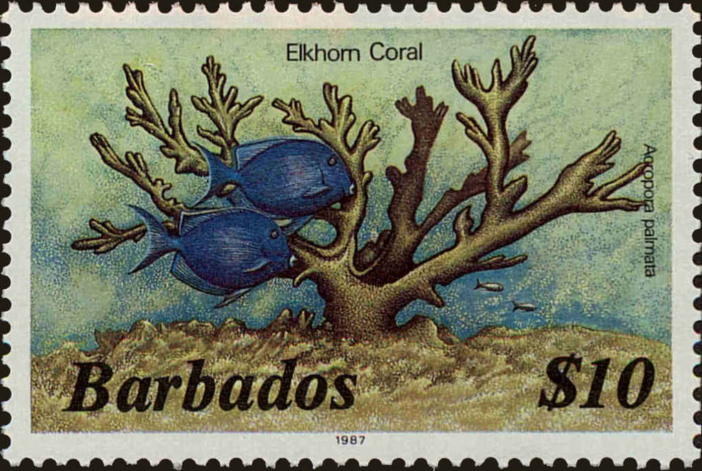 Front view of Barbados 659d collectors stamp