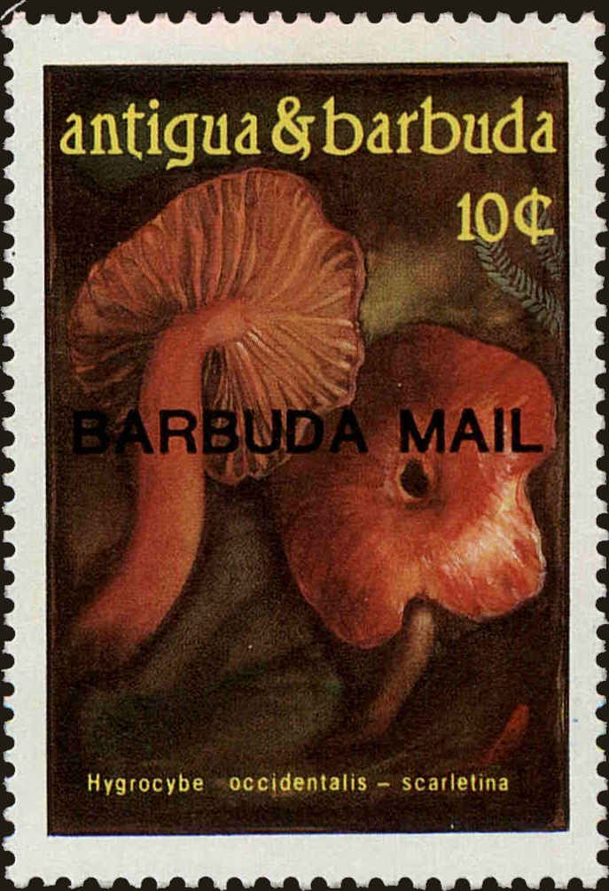 Front view of Barbuda 828 collectors stamp