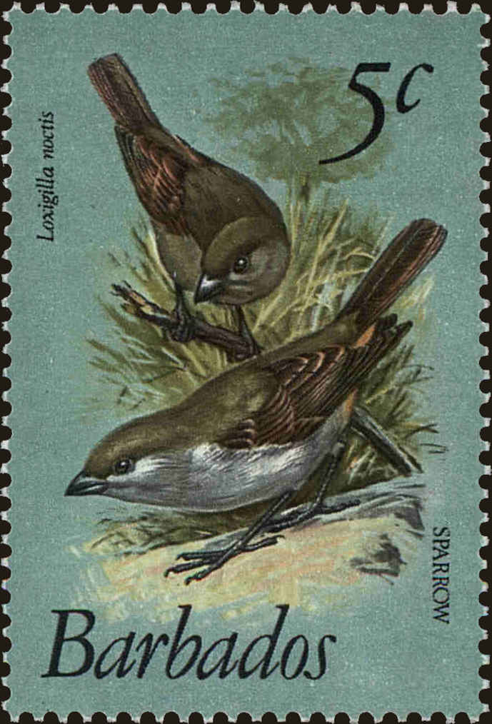 Front view of Barbados 497 collectors stamp