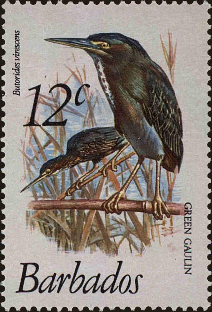 Front view of Barbados 500 collectors stamp