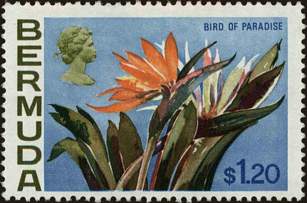 Front view of Bermuda 270 collectors stamp