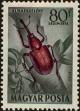 Stamp ID#300244 (1-311-260)