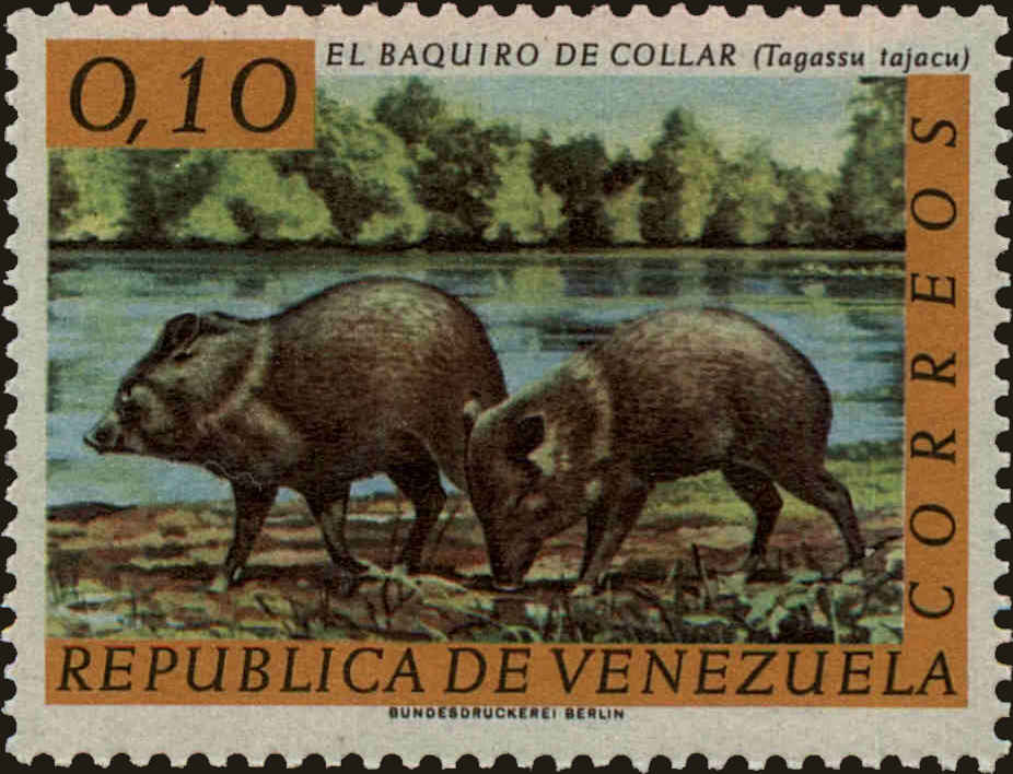 Front view of Venezuela 827 collectors stamp