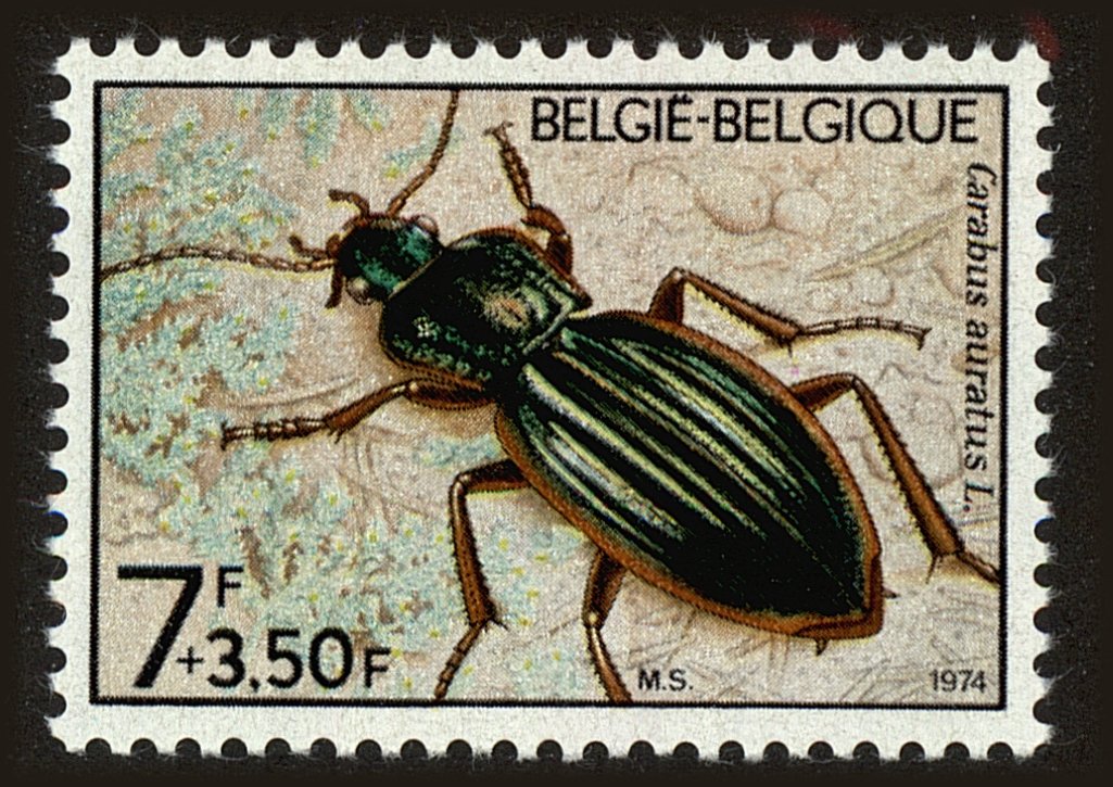 Front view of Belgium B921 collectors stamp