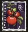 Stamp ID#91896 (1-95-2037)