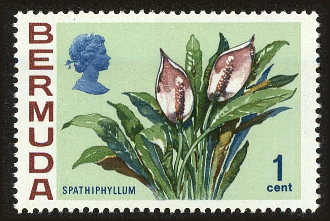 Front view of Bermuda 255 collectors stamp