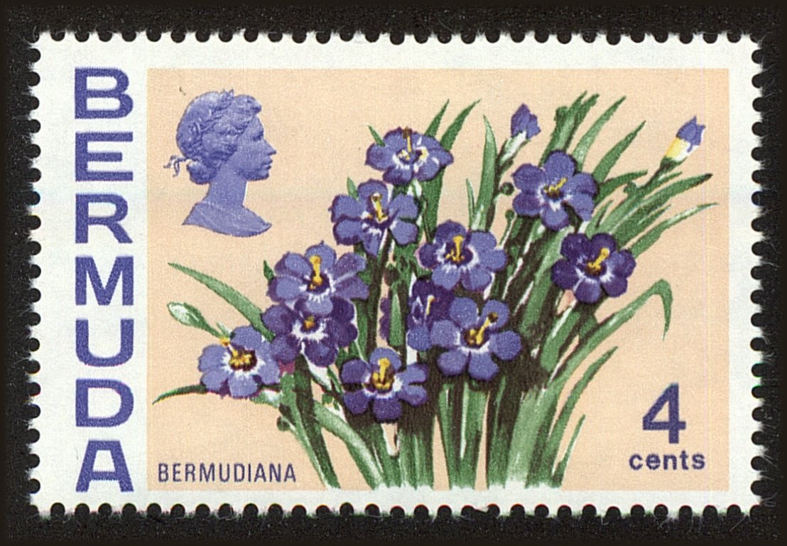 Front view of Bermuda 258 collectors stamp